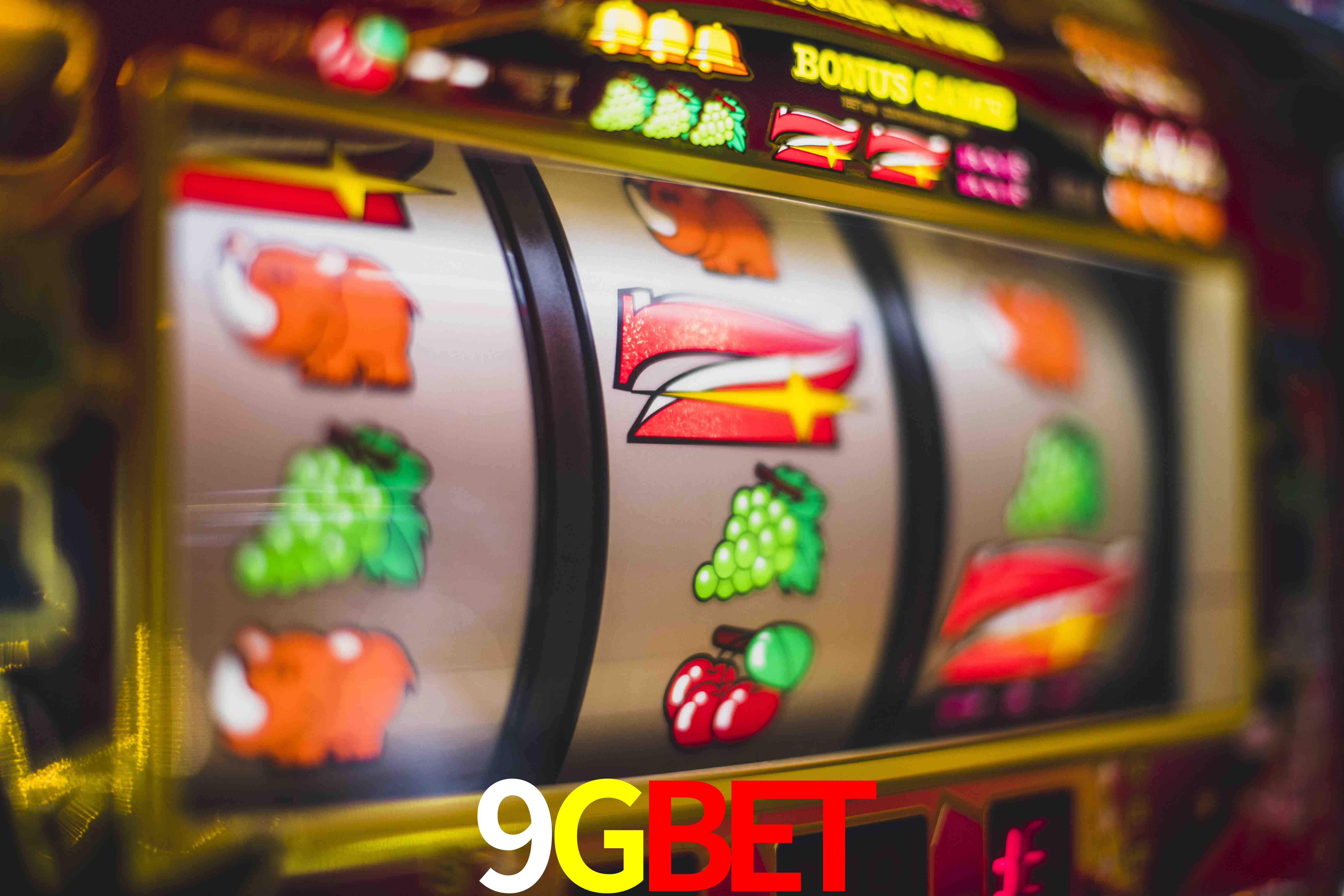 Sports Statistics 9GBET